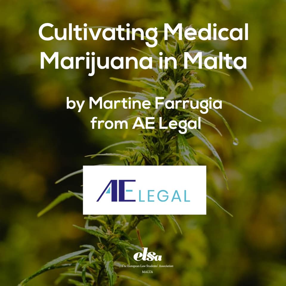 Cultivating Medical Marijuana in Malta